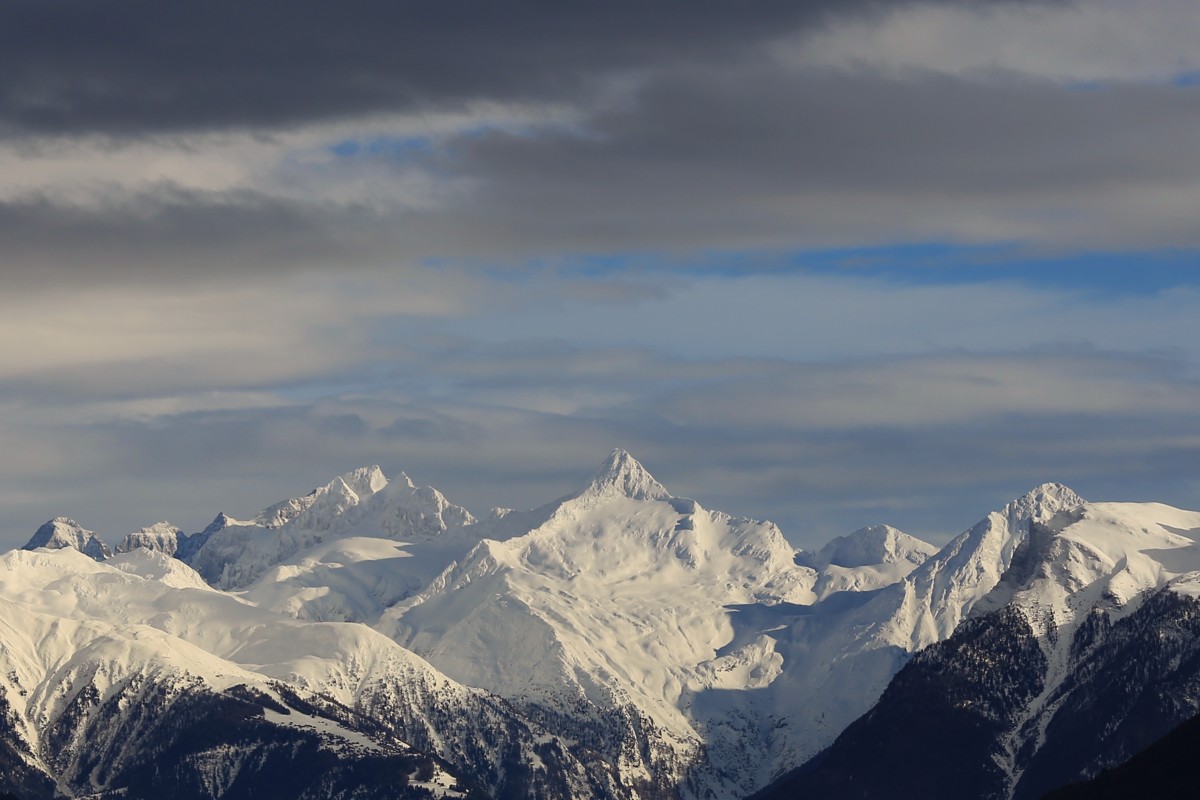 Bortelhorn