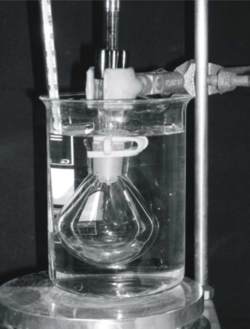 Density Maximum Setup