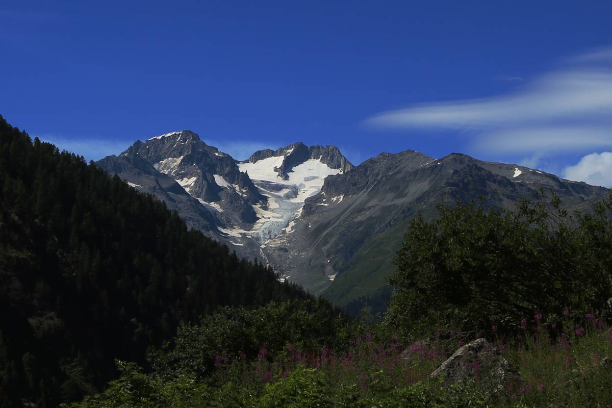 Vorderes und Hinteres Galmihorn, Firehorn, Heji Zwchte und Chastelhorn von Blinnental, <br> Reckingen, Sommer 2015