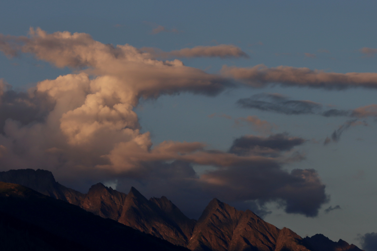 Turelli, Lghorn, Christehorn